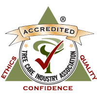 Tree Care Industry Association Accredited