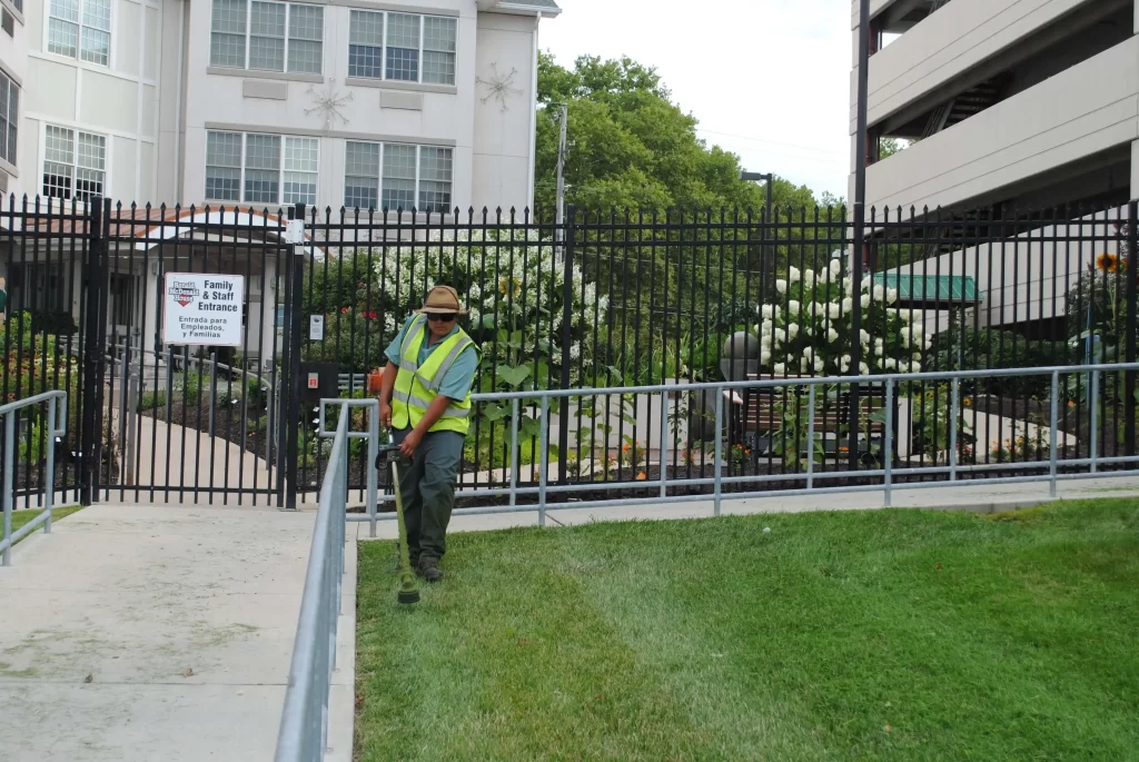 Commercial Landscape Maintenance