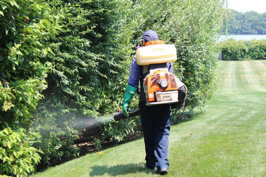 Tree and Shrub Insect Control Tree Care Shades of Green