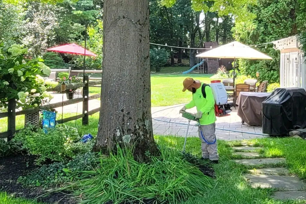 Residential Tree Fertilization and Treatment Services