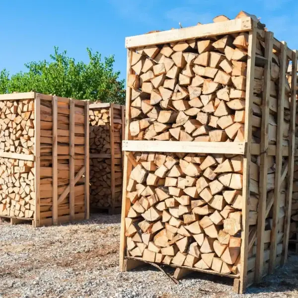 stacks of logs