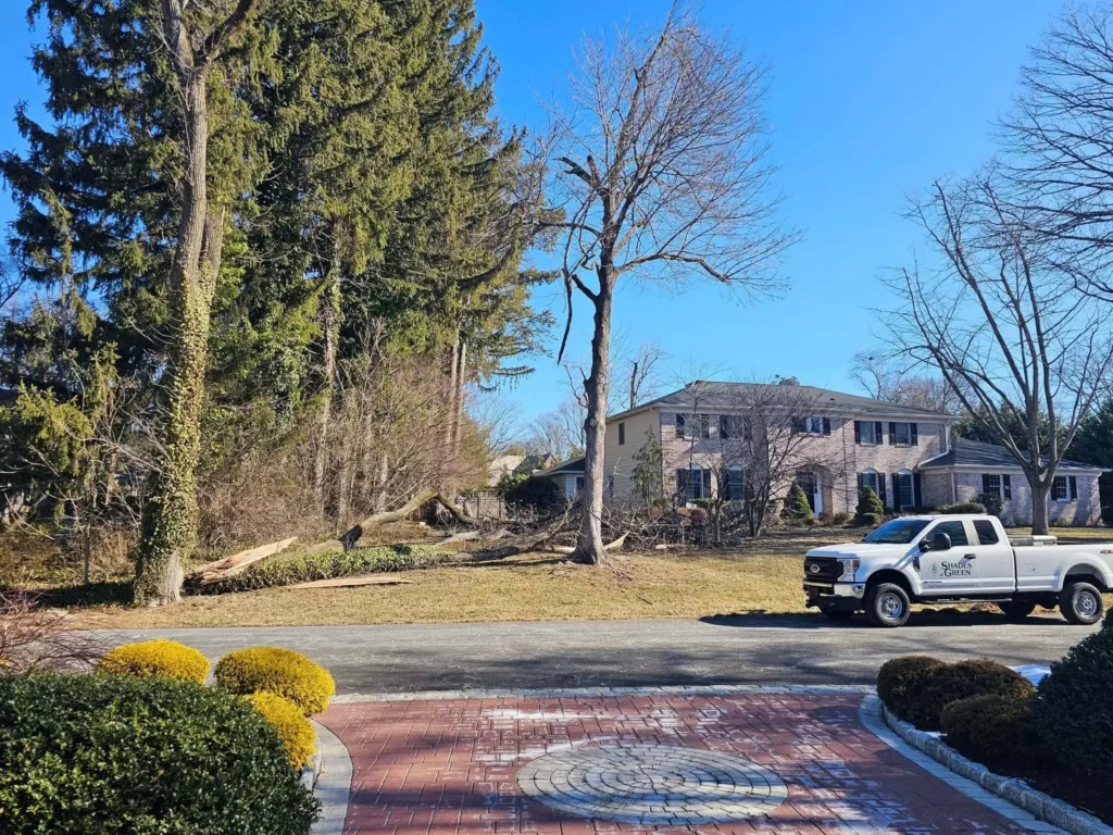 Storm Damage Cleanup by Shades of Green