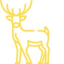 Deer icon