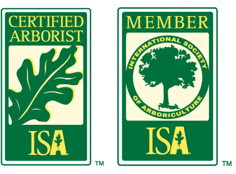 Cert Arborist Logos 2 1